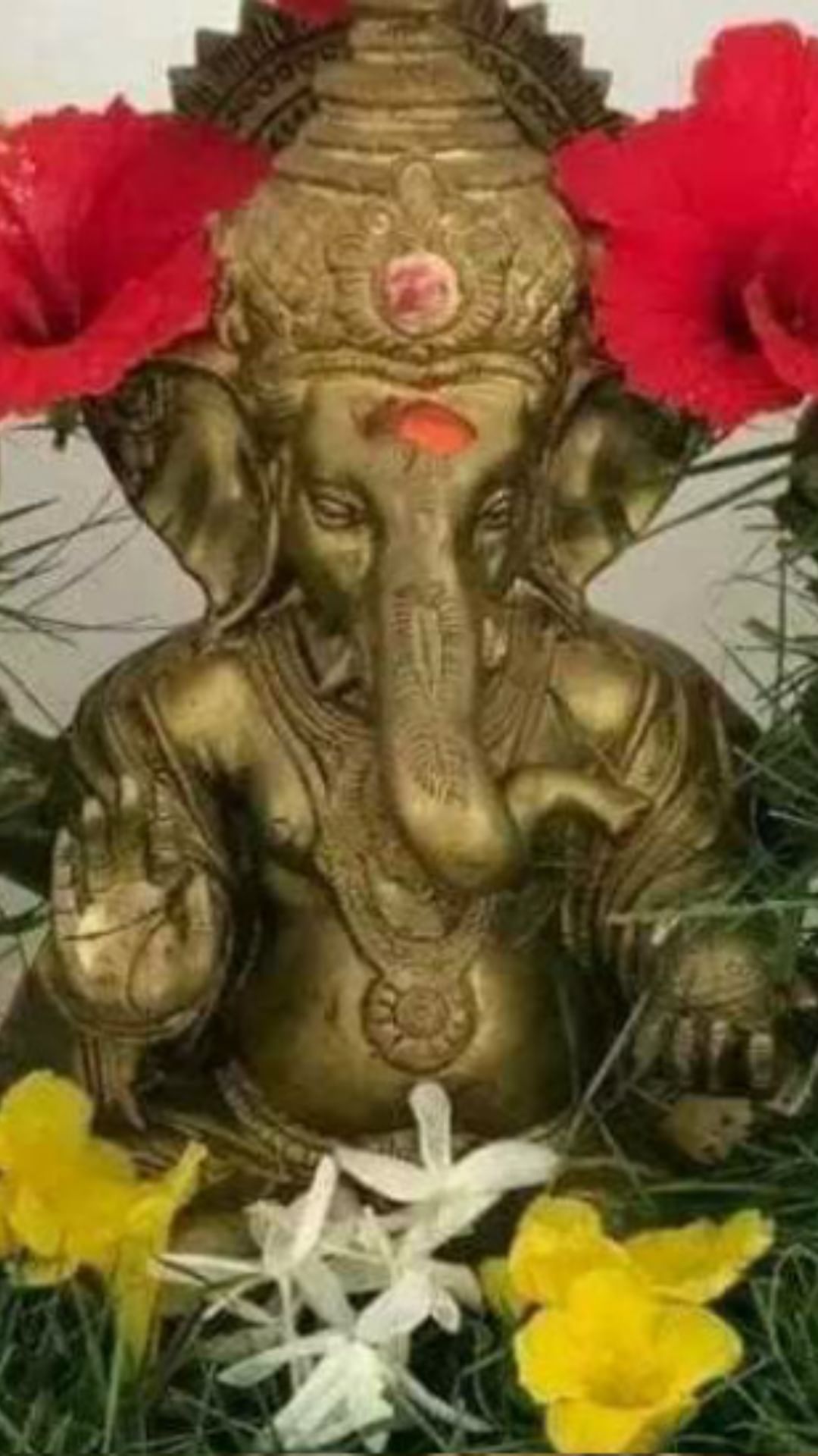 गणेशाला दुर्वा वाहिल्याने जीवनात येणाऱ्या समस्यांशी लढण्याचं मानसिक बळ मिळतं आणि भक्त जीवनात कधी हरत नाहीत.