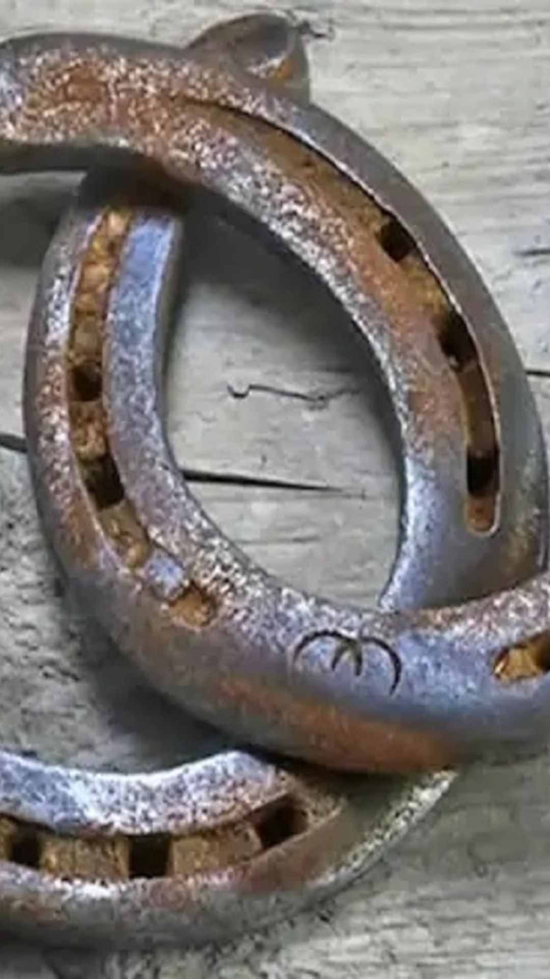 ghode-ki-naal-image