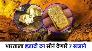 महाराष्ट्रात आढळली तब्बल तीन हजार वर्षांपूर्वीची मानवी वस्ती, उत्खननात महत्त्वपूर्ण अवशेष हाती