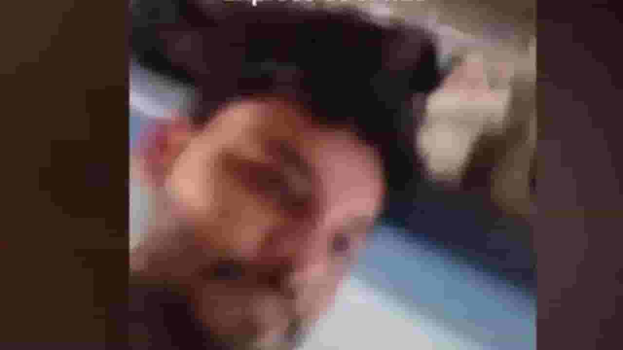 गीतांजली एक्स्प्रेसमध्ये IRCTC कर्मचाऱ्यांकडून दादागिरी अन् मारहाण.... व्हिडिओ व्हायरल