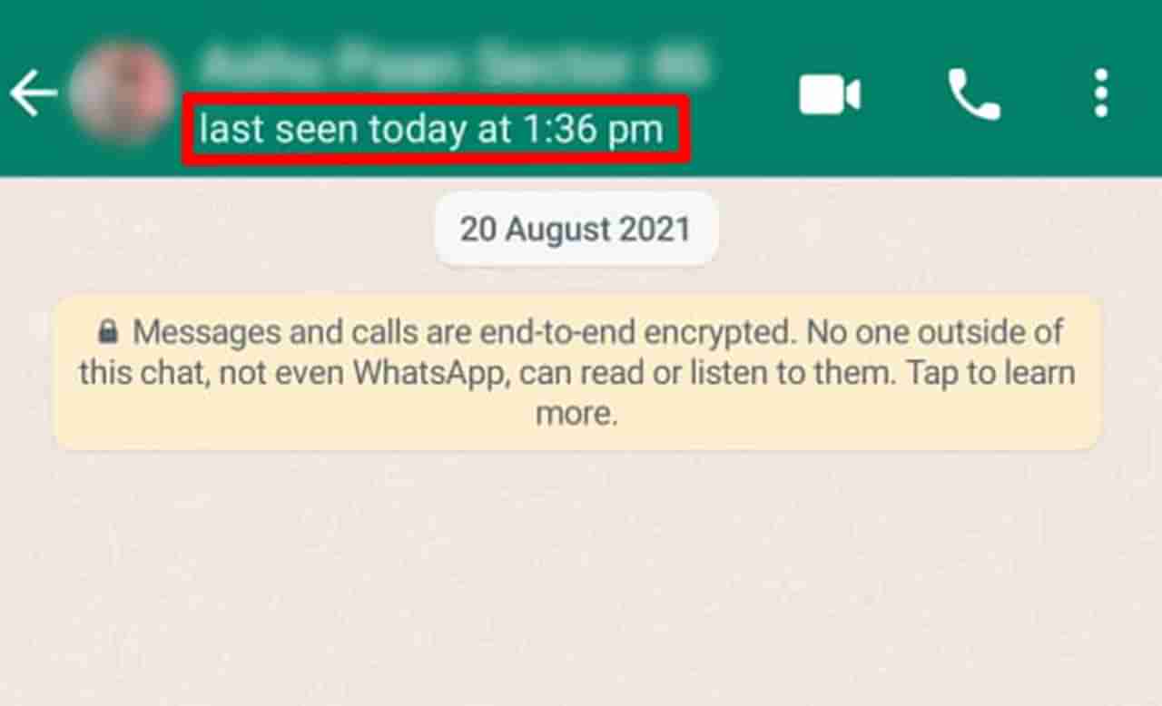 ब्लू टिक बंद करायचंय? मग WhatsApp च्या या ‘सीक्रेट’ सेटिंग्स एकदा नक्की वाचा!