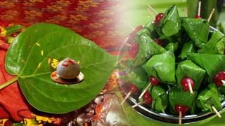 2025 मध्ये निर्जला एकादशीचे व्रत कधी आहे? जाणून घ्या योग्य पूजा विधी