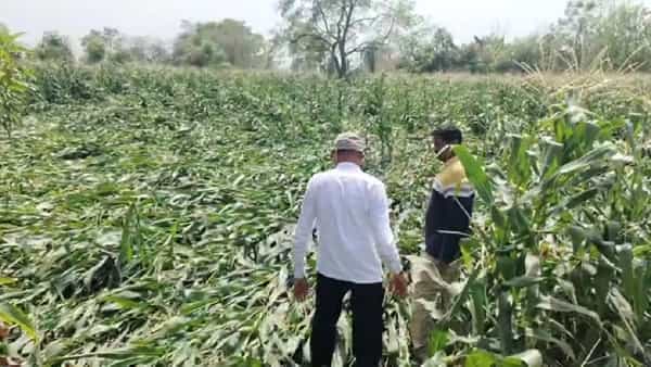 पावसाळा सुरू होण्यासााठी अजून दोन महिने बाकी आहेत. मात्र, त्यापूर्वीच हवामानात मोठा बदल झाला आहे. राज्यात वादळी वाऱ्यासह अनेक ठिकाणी अवकाळी पावसाने जोरदार हजेरी लावली आहे. त्यामुळे शेतकरी हवालदिल झाला आहे.
