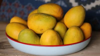 आंबा खाताना या चुका करू नका, आरोग्याला पोहोचवू शकते नुकसान