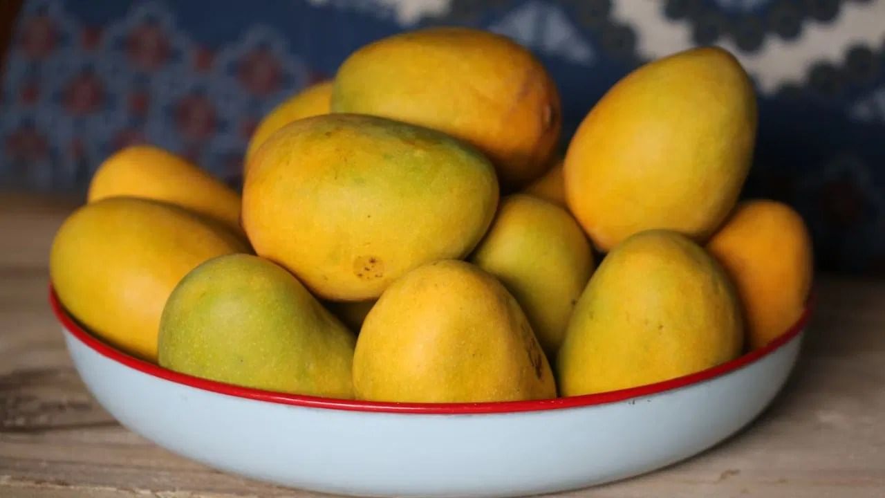 आंबा खाताना 'या' चुका करू नका, आरोग्याला पोहोचवू शकते नुकसान आंबा खाताना 'या' चुका करू नका, आरोग्याला पोहोचवू शकते नुकसान