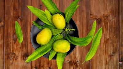 आंबे खरेदी करताय? तर या 5 ट्रिक्स करा फॉलो, नाहीतर कॅमिकलयुक्त आंबा कराल खरेदी