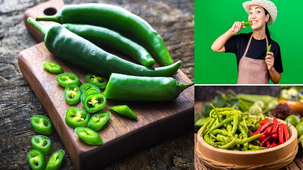 benefits green chillies: हिरवी मिरची नाही, गुणांचा खजिना म्हणा साहेब..! फायदे जाणून अश्चर्यचकित व्हाल benefits green chillies: हिरवी मिरची नाही, गुणांचा खजिना म्हणा साहेब..! फायदे जाणून अश्चर्यचकित व्हाल