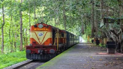 असं कोणतं फळ जे ट्रेनमध्ये नेऊ शकत नाही? अन्यथा दंड भरावा लागेल, अनेकांना माहिती नसेल