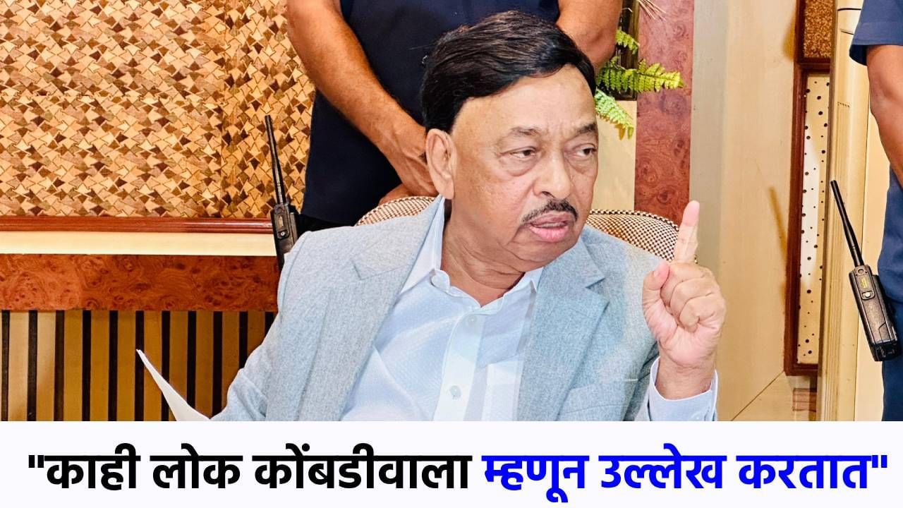 लोक कोंबडीवाला म्हणून उल्लेख करतात, नारायण राणे असं का म्हणाले? लोक कोंबडीवाला म्हणून उल्लेख करतात, नारायण राणे असं का म्हणाले?
