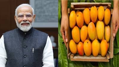 दिल्लीकर चाखणार कोकणातील हापूसची चव, आंबा महोत्सवाचे पंतप्रधान नरेंद्र मोदी यांच्या हस्ते उद्घाटन