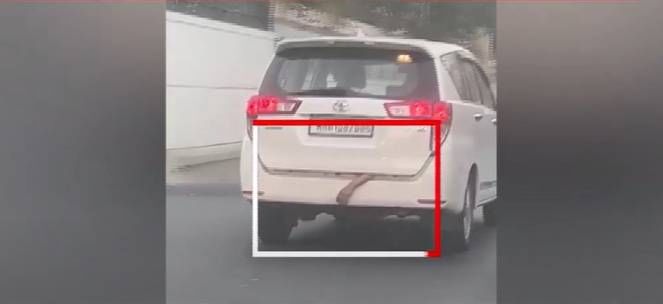 धावत्या गाडीच्या डिक्कीतून चक्क निघाला हात बाहेर अन्... नवी मुंबईत नेमकं काय घडलं? व्हिडीओ व्हायरल