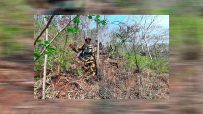 मोठी बातमी ! छत्तीसगड-तेलंगण बॉर्डवर 30 तासांपासून चकमक; तीन नक्षलवाद्यांचा खात्मा