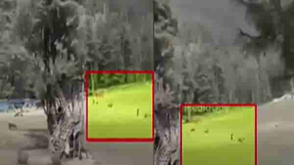 Pahalgam Attack : हीच ती जागा जिथं दहशतवाद्यांनी पर्यटकांवर धडाधड झाडल्या गोळ्या, तिथली वरिष्ठ अधिकाऱ्यांकडून पाहणी