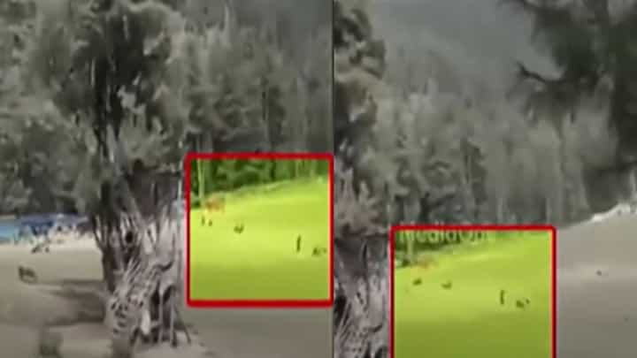 Pahalgam Attack : हीच ती जागा जिथं दहशतवाद्यांनी पर्यटकांवर धडाधड झाडल्या गोळ्या, तिथली वरिष्ठ अधिकाऱ्यांकडून पाहणी Pahalgam Attack : हीच ती जागा जिथं दहशतवाद्यांनी पर्यटकांवर धडाधड झाडल्या गोळ्या, तिथली वरिष्ठ अधिकाऱ्यांकडून पाहणी