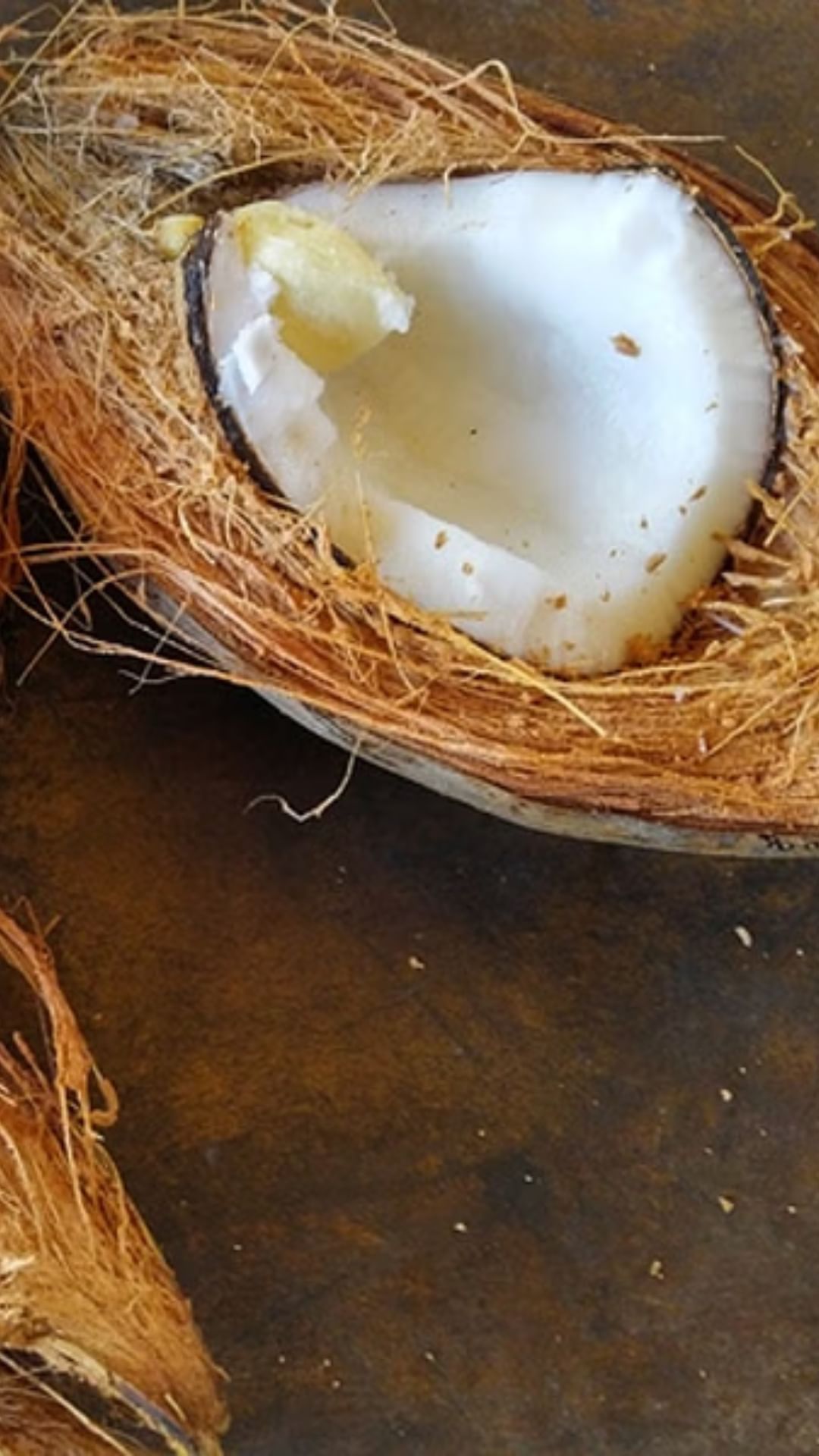 puja-nariyal-photo