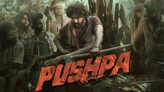 बॉलिवूडमध्ये जी घाण आहे ती..., पुष्पा फेम सेलिब्रिटीचं लक्षवेधी वक्तव्य, पण असं का म्हणाला?