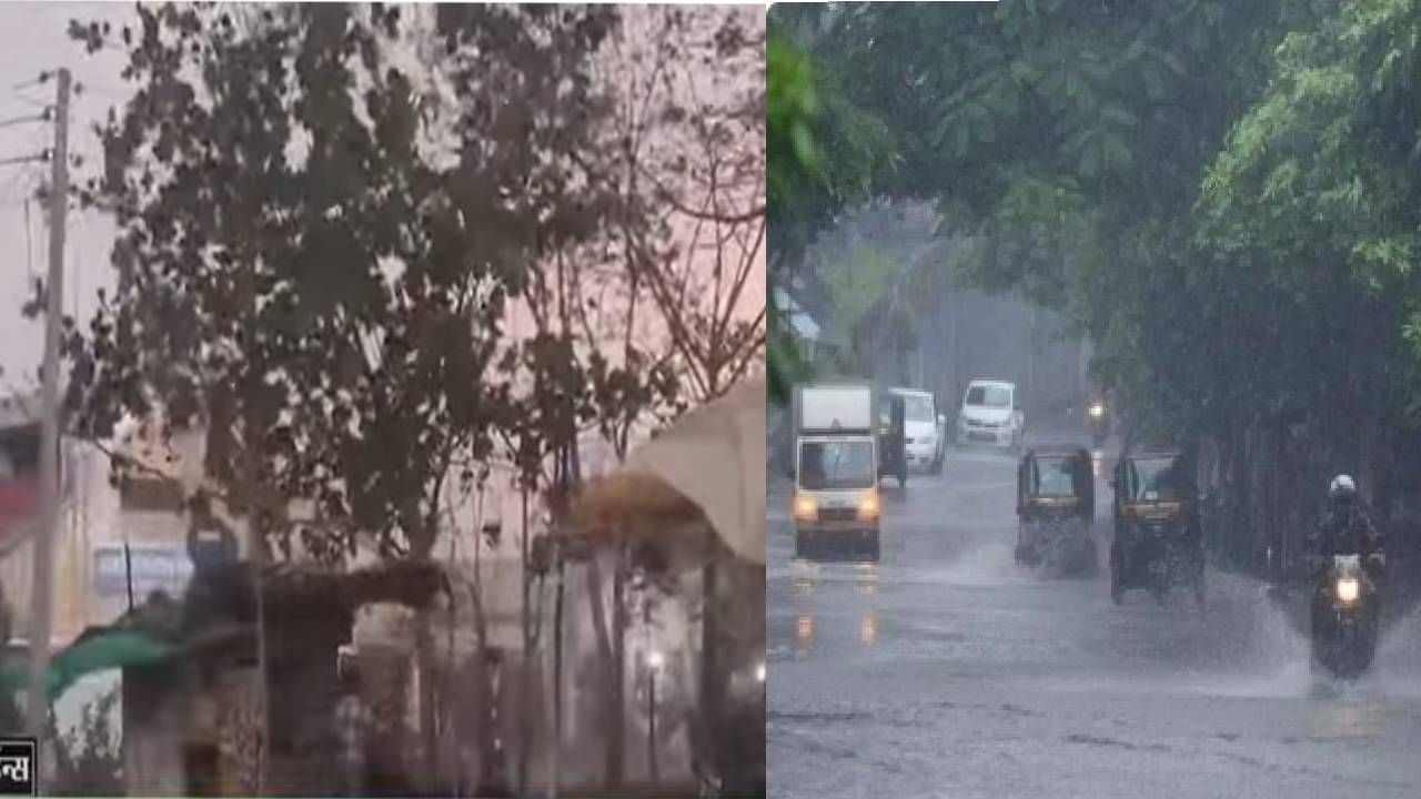 मेघगर्जना आणि वादळी वाऱ्यांसह जोरदार पावसाची शक्यता, राज्यातील कोण-कोणत्या जिल्ह्यांना यलो अलर्ट ?