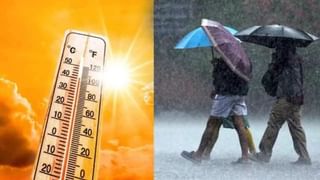 राज्यात एकीकडे उष्णतेचा ऑरेंज अलर्ट, दुसरीकडे गारपीटचा अंदाज