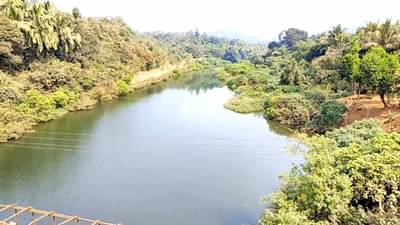 बुडणाऱ्या मुलाला वाचवताना आई, आत्यासह तिघांचा मृत्यू