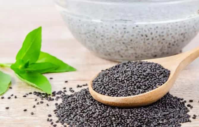 उन्हाळ्यात सब्जा बिया खाण्याचे 5 सोपे ट्रिक्स, तुमच्या आरोग्याला होईल दुप्पट फायदा