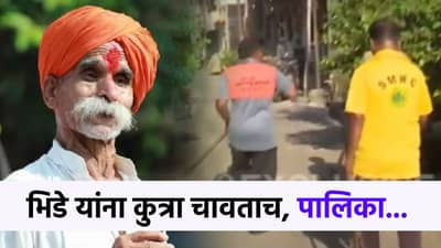या गल्लीत की त्या गल्लीत... भिडे गुरुजींना चावताच कुत्र्यांच्या मागे पालिका कर्मचारी, धरपकड आणि दमछाक