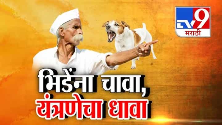 Sambhaji Bhide : भिडेंना चावणारं कुत्रं शोधण्यासाठी यंत्रणेची अहोरात्र मेहनत Sambhaji Bhide : भिडेंना चावणारं कुत्रं शोधण्यासाठी यंत्रणेची अहोरात्र मेहनत