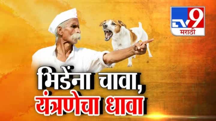 Sambhaji Bhide : भिडेंना चावणारं कुत्रं शोधण्यासाठी यंत्रणेची अहोरात्र मेहनत Sambhaji Bhide : भिडेंना चावणारं कुत्रं शोधण्यासाठी यंत्रणेची अहोरात्र मेहनत