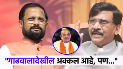 राऊत हे जळणारं लाकूड...गाढवालाही अक्कल पण... नरेश म्हस्के राऊतांवर संतापले, म्हणाले...