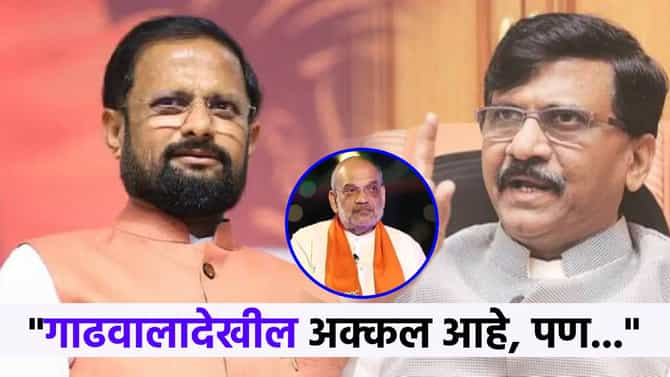 राऊत हे जळणारं लाकूड...गाढवालाही अक्कल पण... नरेश म्हस्के राऊतांवर संतापले, म्हणाले...