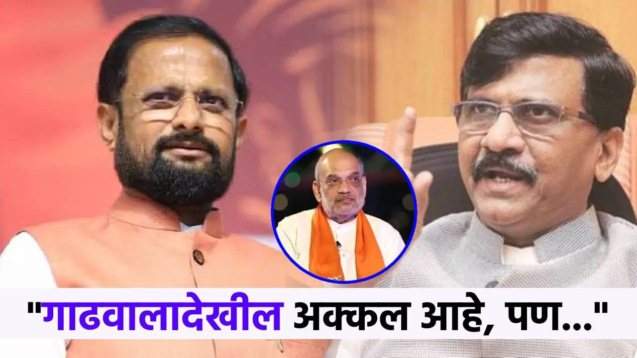 राऊत हे जळणारं लाकूड...गाढवालाही अक्कल पण... नरेश म्हस्के राऊतांवर संतापले, म्हणाले...