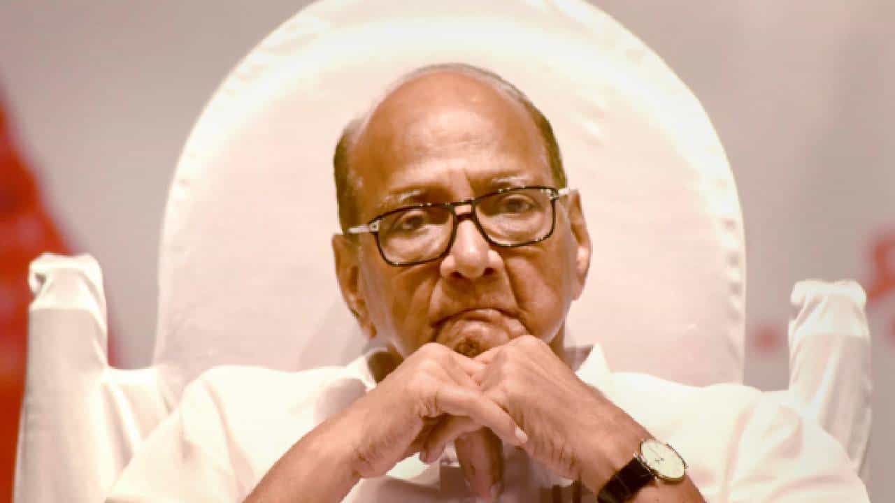 ...तर आज शरद पवार राष्ट्रपती होऊ शकले असते, महायुतीमधील बड्या नेत्यांचं मोठं वक्तव्य