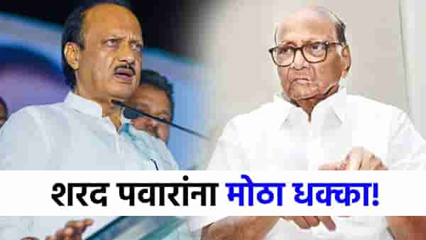 शरद पवारांना सर्वांत मोठा धक्का, 5 बडे नेते अजितदादांच्या गटात जाणार!