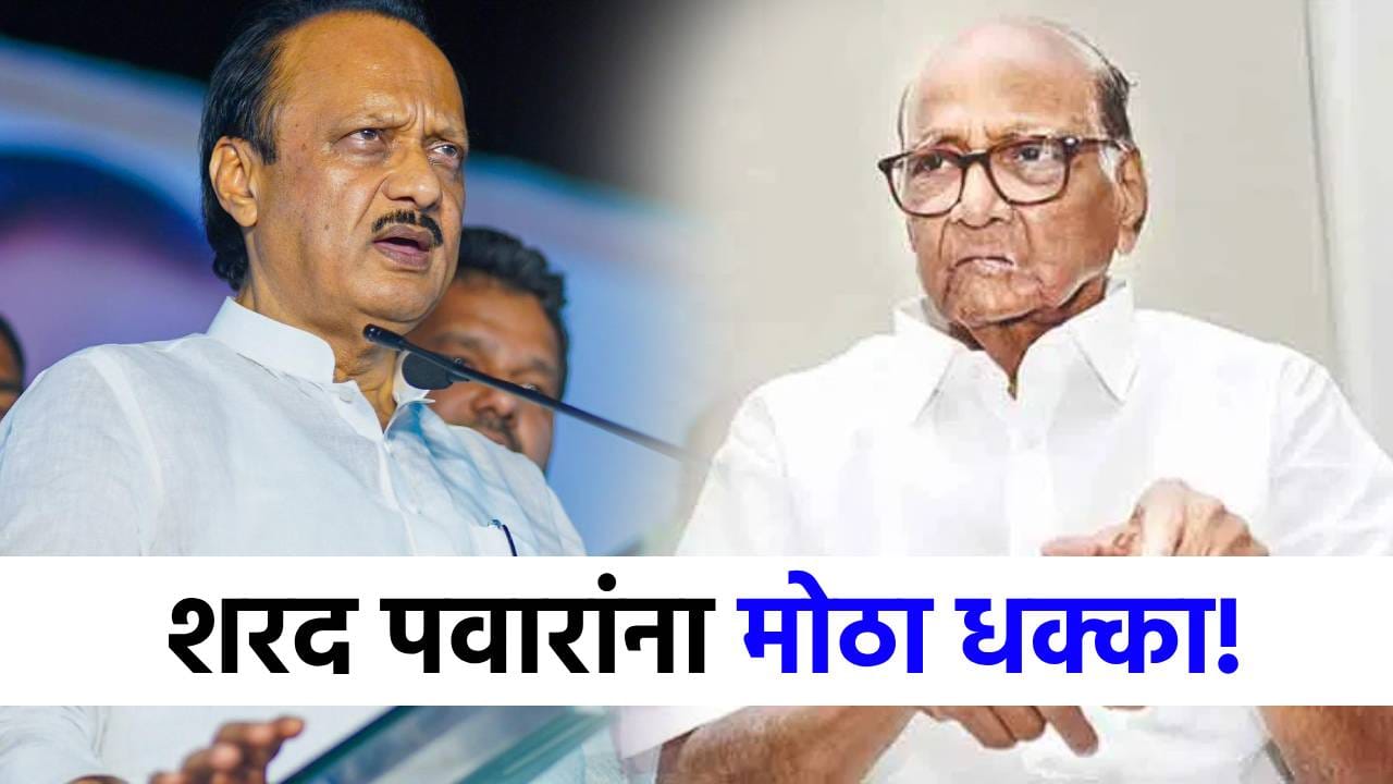 शरद पवारांना सर्वांत मोठा धक्का, 5 बडे नेते अजितदादांच्या गटात जाणार! शरद पवारांना सर्वांत मोठा धक्का, 5 बडे नेते अजितदादांच्या गटात जाणार!