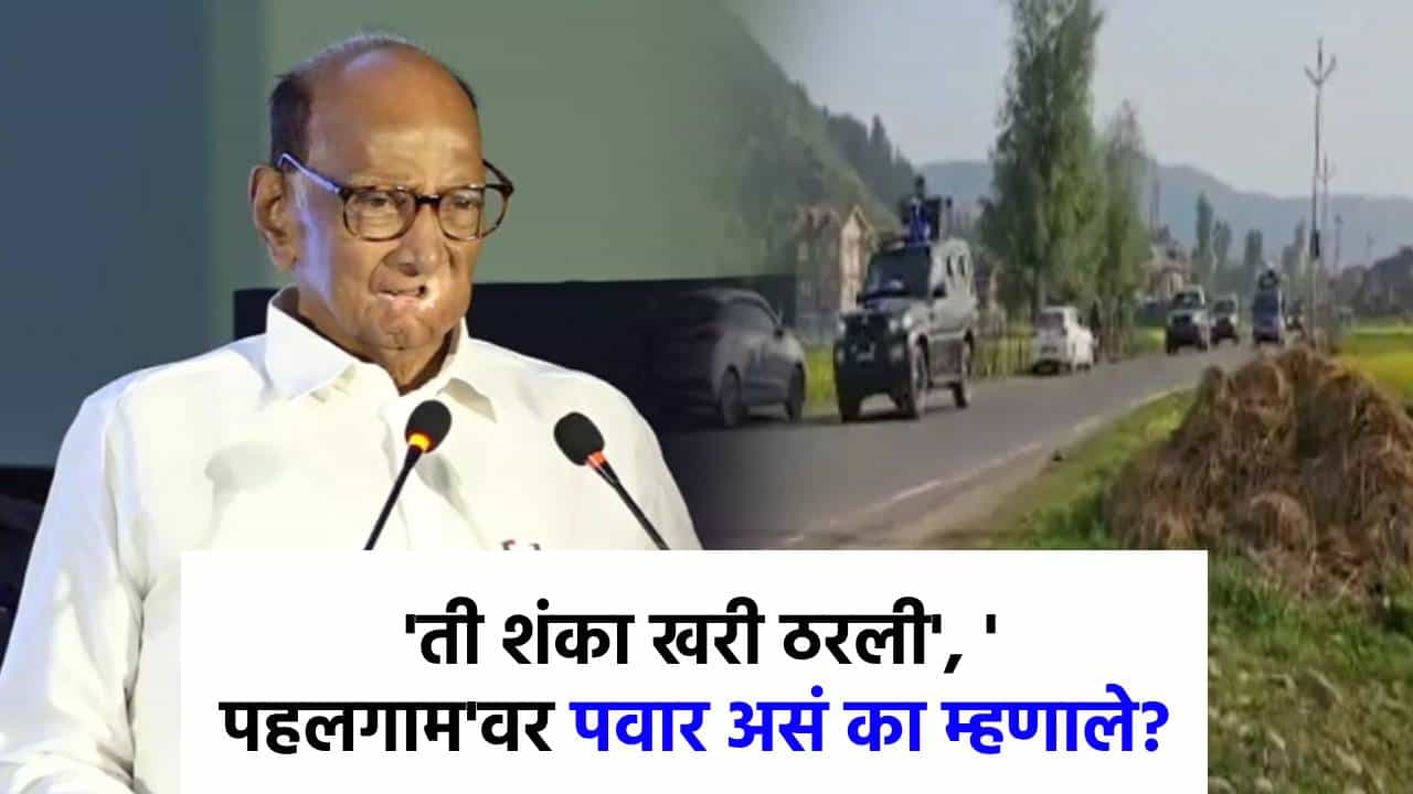माझी शंका खरी ठरली... शरद पवार असं का म्हणाले? सिंधु करार स्थगिती, पाकिस्तानचे निर्बंध... पवार काय म्हणाले?