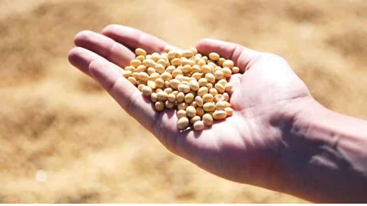 Soybean Price Rise : शेतकऱ्यांचा माल संपला अन् बाजारात दरवाढीला सुरुवात; सोयाबीनचे भाव 4700 पर्यंत वाढले Soybean Price Rise : शेतकऱ्यांचा माल संपला अन् बाजारात दरवाढीला सुरुवात; सोयाबीनचे भाव 4700 पर्यंत वाढले