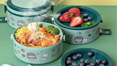 डब्यातील जेवण उन्हाळ्यात लवकर खराब होते? ‘हे’ करा उपाय