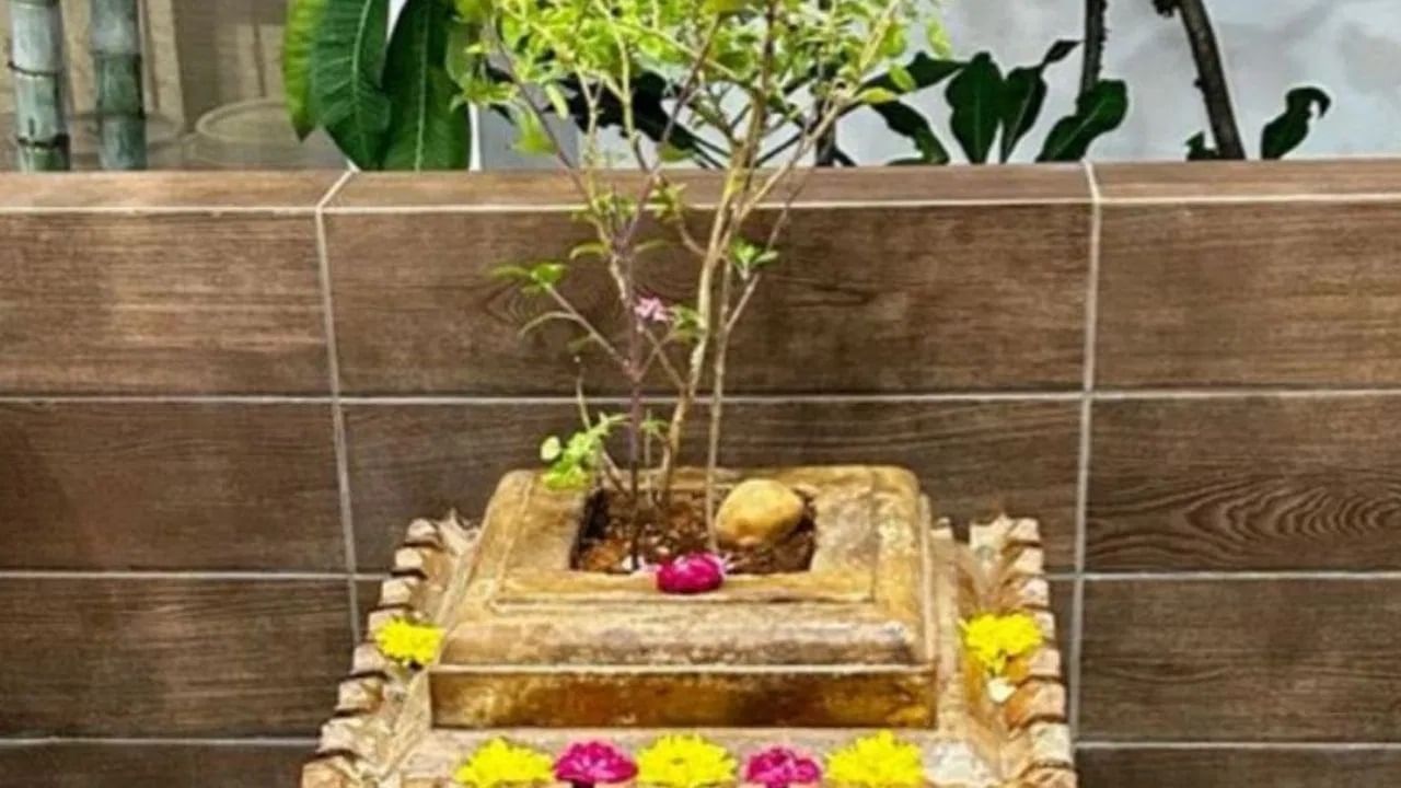 पूर्वजांच्या पूजेमध्ये तुळस आणि हळद दोन्ही वापरतात. त्यांना पाणी अर्पण केल्याने पूर्वजांच्या पापांपासून मुक्ती मिळते आणि पूर्वजांकडून आशीर्वाद मिळतो.