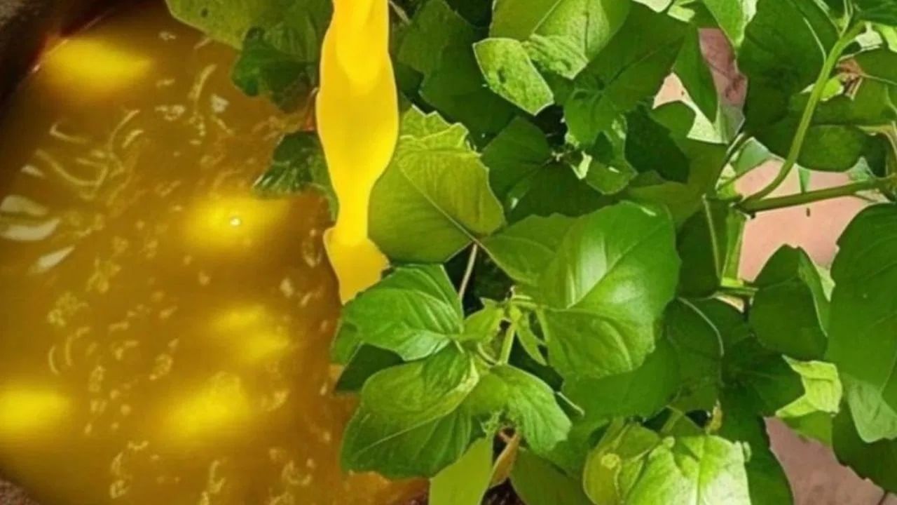 टीप: येथे दिलेली माहिती केवळ धार्मिक श्रद्धेवर आधारित तुमच्या माहितीसाठी आहे.