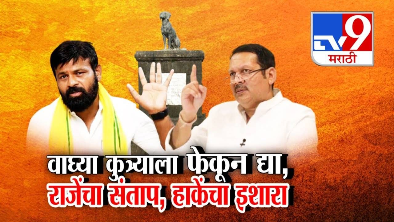 UdayanRaje Bhosale : भारतात लांब कानाचे कुत्रे तरी आहेत का? रायगडावरील 'वाघ्या'ला फेकून द्या... उदयनराजेंचा संताप अन् हाकेंचा थेट इशारा UdayanRaje Bhosale : भारतात लांब कानाचे कुत्रे तरी आहेत का? रायगडावरील 'वाघ्या'ला फेकून द्या... उदयनराजेंचा संताप अन् हाकेंचा थेट इशारा