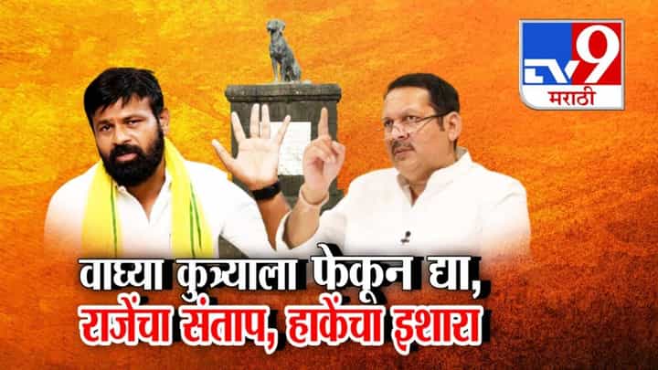 UdayanRaje Bhosale : भारतात लांब कानाचे कुत्रे तरी आहेत का? रायगडावरील 'वाघ्या'ला फेकून द्या... उदयनराजेंचा संताप अन् हाकेंचा थेट इशारा UdayanRaje Bhosale : भारतात लांब कानाचे कुत्रे तरी आहेत का? रायगडावरील 'वाघ्या'ला फेकून द्या... उदयनराजेंचा संताप अन् हाकेंचा थेट इशारा