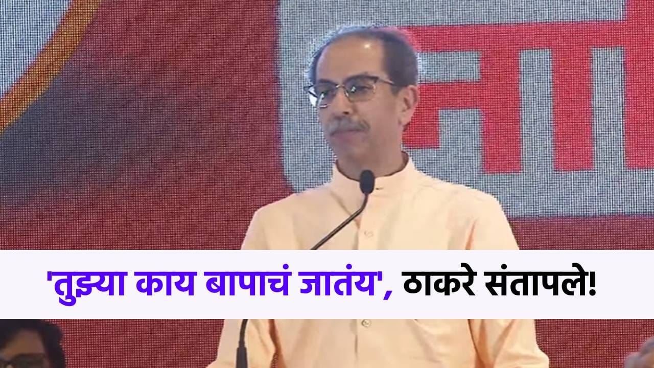 'तुझ्या काय बापाचं जातंय', उद्धव ठाकरे प्रचंड संतापले, नेमका रोख कुणाकडे?