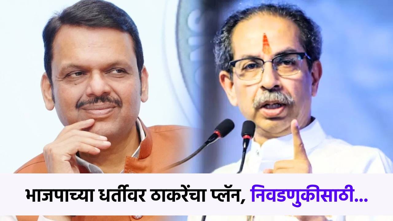 ठाकरे आता भाजपाच्या धर्तीवर संघटन बांधणार? नाशिकच्या सभेत काय दिले आदेश? ठाकरे आता भाजपाच्या धर्तीवर संघटन बांधणार? नाशिकच्या सभेत काय दिले आदेश?