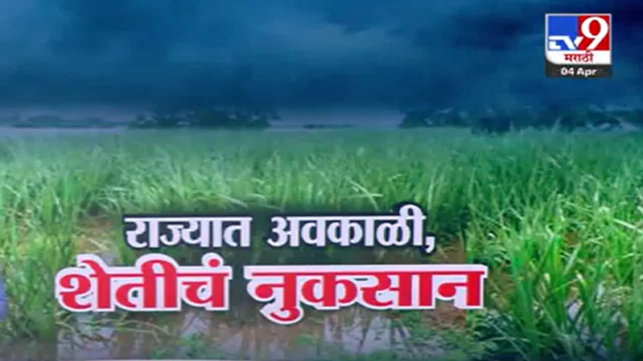 Unseasonal Rain : राज्यात अवकाळीचा हैदोस, बळीराजा हवालदिल, IMD कडून मुंबईसह 'या' जिल्ह्यांना अलर्ट
