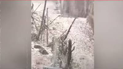 Unseasonal Rain : गारपीट अन् अवकाळीनं महाराष्ट्राला झोडपलं, बळीराजा हवालदिल; कोणत्या जिल्ह्यांना तडाखा?