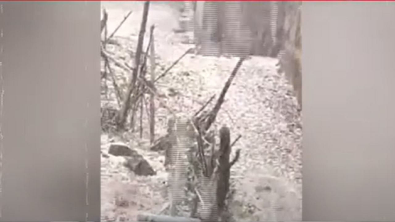 Unseasonal Rain : गारपीट अन् अवकाळीनं महाराष्ट्राला झोडपलं, बळीराजा हवालदिल; कोणत्या जिल्ह्यांना तडाखा?