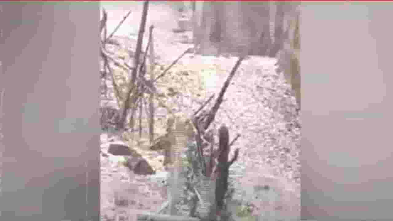 Unseasonal Rain : गारपीट अन् अवकाळीनं महाराष्ट्राला झोडपलं, बळीराजा हवालदिल; कोणत्या जिल्ह्यांना तडाखा? Unseasonal Rain : गारपीट अन् अवकाळीनं महाराष्ट्राला झोडपलं, बळीराजा हवालदिल; कोणत्या जिल्ह्यांना तडाखा?