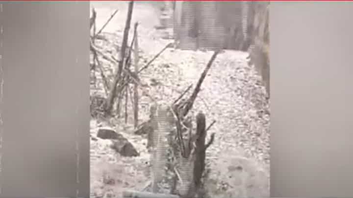 Unseasonal Rain : गारपीट अन् अवकाळीनं महाराष्ट्राला झोडपलं, बळीराजा हवालदिल; कोणत्या जिल्ह्यांना तडाखा? Unseasonal Rain : गारपीट अन् अवकाळीनं महाराष्ट्राला झोडपलं, बळीराजा हवालदिल; कोणत्या जिल्ह्यांना तडाखा?