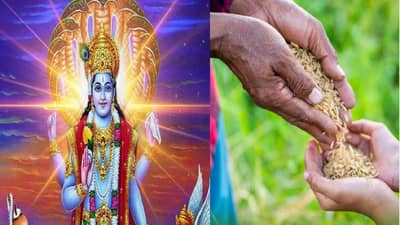 varuthini ekadashi 2025: वरुथिनी एकादशीच्या दिवशी या विशेष गोष्टी दान केल्यास घरात येईल पैसाच पैसा....