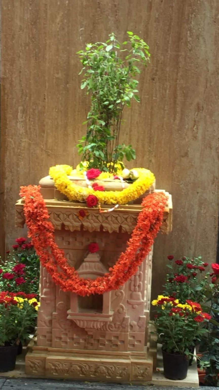 तुळशीला लाल रंगाचा धागा बांधल्याने काय फळ मिळते?