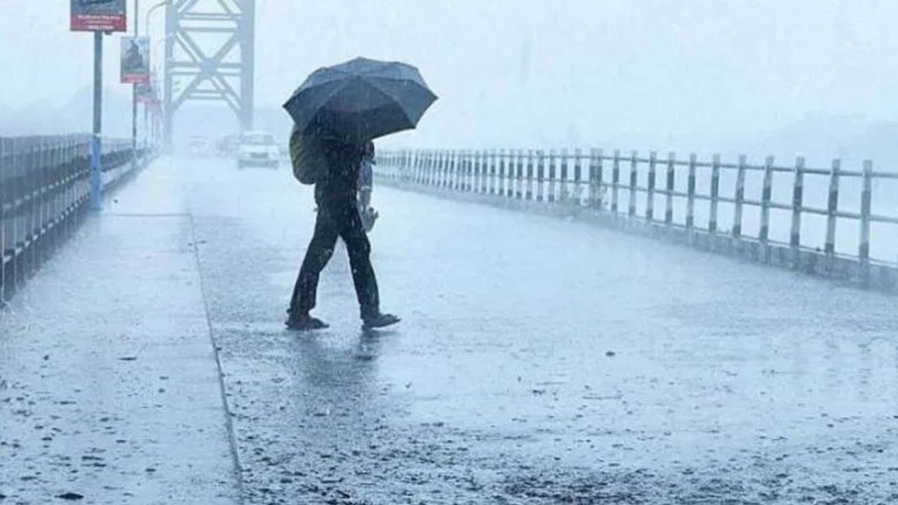आज रत्नागिरी, ठाणे, मुंबई, पालघर, अहिल्यानगर, पालघर, छत्रपती संभाजीनगर, जळगाव, धुळे, नंदुरबार, सोलापूर, धाराशिव, लातूर, नांदेड, वाशिम, बुलाढाणा, चंद्रपूर आणि गडचिरोली या जिल्ह्यांना पावसाचा हाय अलर्ट देण्यात आला आहे.